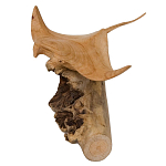 Статуэтка из дерева скат Animals of the World варинант исполнения - 2 | Loft Concept в Кирове