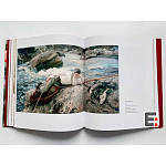 Книга Коллекция картин Сарджента Sargent: The Masterworks варинант исполнения - 6 | Loft Concept в Кирове