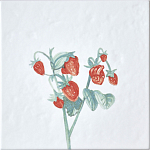 Плитка с узором Земляника варинант исполнения - 2 | Loft Concept в Кирове