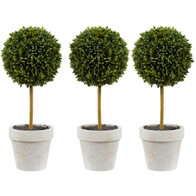 Декоративный искусственное растение Boxwood One Зеленый Бежевый Коричневый Декоративный искусственное растение Boxwood One Зеленый Бежевый Коричневый в Кирове | Loft Concept
