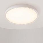 Потолочный светильник Incognito 2700-4000К 46Вт варинант исполнения - 4 | Loft Concept в Кирове