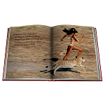 Лимитированная подарочная большая книга CARTIER Panthère варинант исполнения - 12 | Loft Concept в Кирове