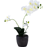 Декоративный искусственное растение Angel Orchid варинант исполнения - 1 | Loft Concept в Кирове