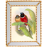 Постер с изображением птиц и цветов в зеркальной раме Blooming Birds Poster варинант исполнения - 6 | Loft Concept в Кирове