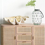 Блюдо декоративное в виде ракушки Seashell варинант исполнения - 1 | Loft Concept в Кирове