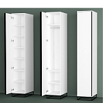 Шкаф-пенал белый с зеркальной дверцей Strict Lines варинант исполнения - 5 | Loft Concept в Кирове