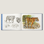 Лимитированная подарочная книга HERMES Fierce and Fragile book, English version варинант исполнения - 2 | Loft Concept в Кирове