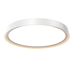 Потолочный светильник Incognito 2700-4000К 46Вт варинант исполнения - 1 | Loft Concept в Кирове