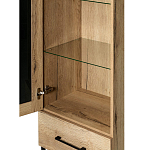 Шкаф-витрина в стиле лофт с чёрной стеклянной дверью Urban Style Space варинант исполнения - 3 | Loft Concept в Кирове