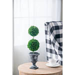 Декоративный искусственное растение Double boxwood варинант исполнения - 5 | Loft Concept в Кирове