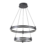 Люстра светодиодная с 2-мя плафонами в форме колец из акрила и алюминия с пультом для регулировки света Ring Horizontal Black варинант исполнения - 4 | Loft Concept в Кирове