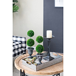 Декоративный искусственное растение Double boxwood варинант исполнения - 8 | Loft Concept в Кирове