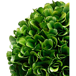 Декоративный искусственное растение Single boxwood варинант исполнения - 2 | Loft Concept в Кирове