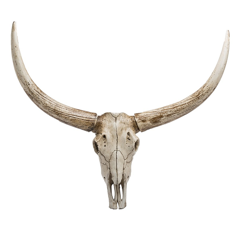 Череп быка Bull Skull Бежево-серый в Кирове | Loft Concept 