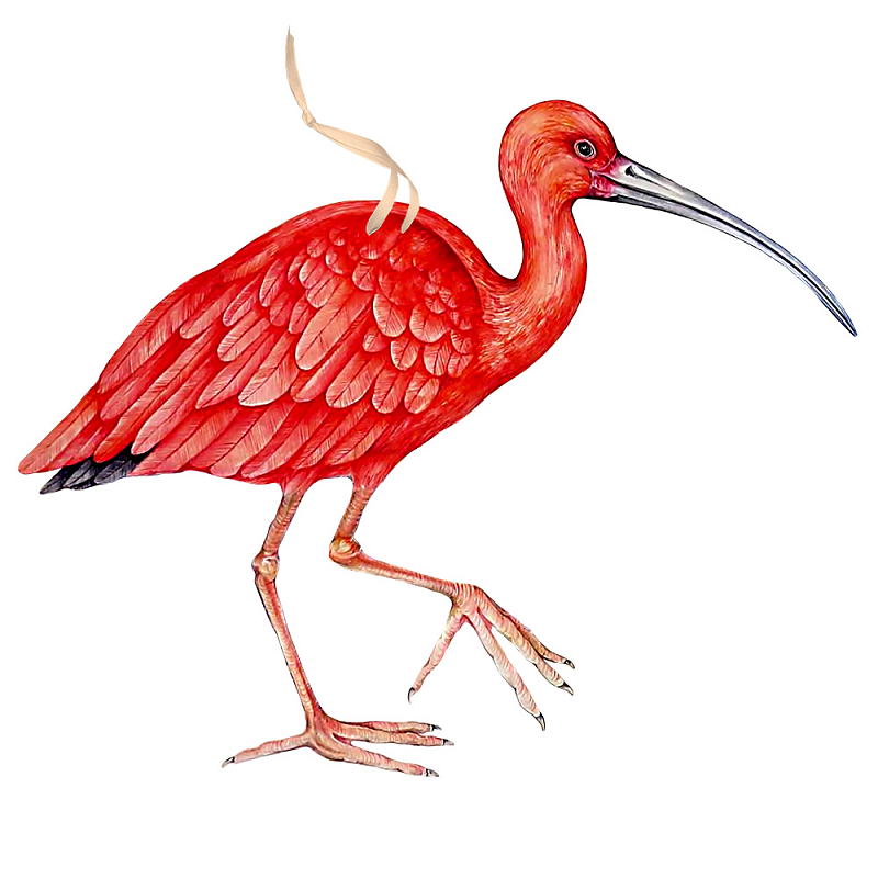 Арт-объект Scarlet Ibis Красный Арт-объект Scarlet Ibis Красный в Кирове | Loft Concept