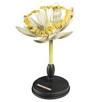 Статуэтка Tilia варинант исполнения - 3 | Loft Concept в Кирове