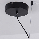 Люстра подвесная светодиодная черный металл Ring Horizontal варинант исполнения - 13 | Loft Concept в Кирове