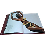 Коллекционная книга Art in Vogue варинант исполнения - 1 | Loft Concept в Кирове