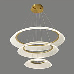 Люстра подвесная с 3-мя кольцевыми светодиодными лампами Catcher варинант исполнения - 1 | Loft Concept в Кирове