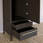 Узкий Шкаф Primo с 2 выдвижными ящиками Темный орех варинант исполнения - 5 | Loft Concept в Кирове