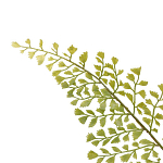 Декоративный искусственное растение Dried flower варинант исполнения - 3 | Loft Concept в Кирове