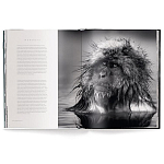 Книга Beusker. Look into my Eyes варинант исполнения - 3 | Loft Concept в Кирове