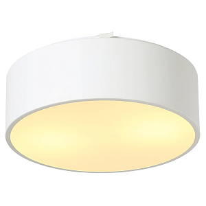 Белый потолочный светильник Skylight