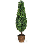 Декоративный искусственное растение Boxwood tree варинант исполнения - 1 | Loft Concept в Кирове