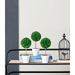 Декоративный искусственное растение Boxwood One варинант исполнения - 9 | Loft Concept в Кирове