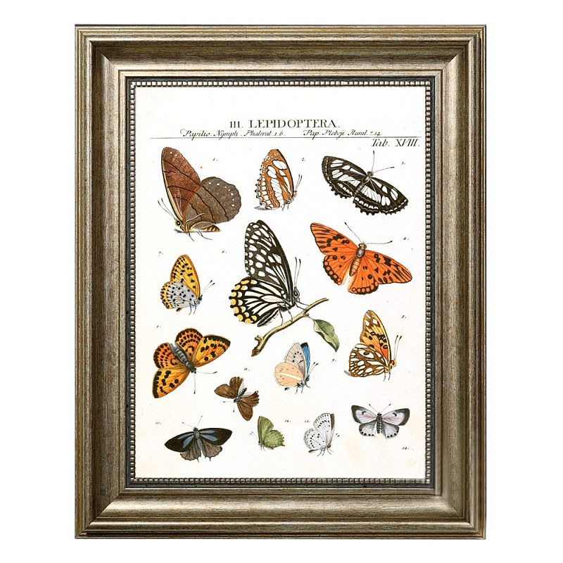Постер Little Butterflies Постер Little Butterflies в Кирове | Loft Concept