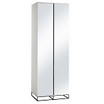 Двухдверный шкаф с зеркальными дверцами Strict Lines варинант исполнения - 5 | Loft Concept в Кирове