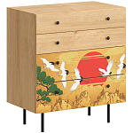 Комод с принтом на ящиках Elise Chest of Drawers варинант исполнения - 4 | Loft Concept в Кирове