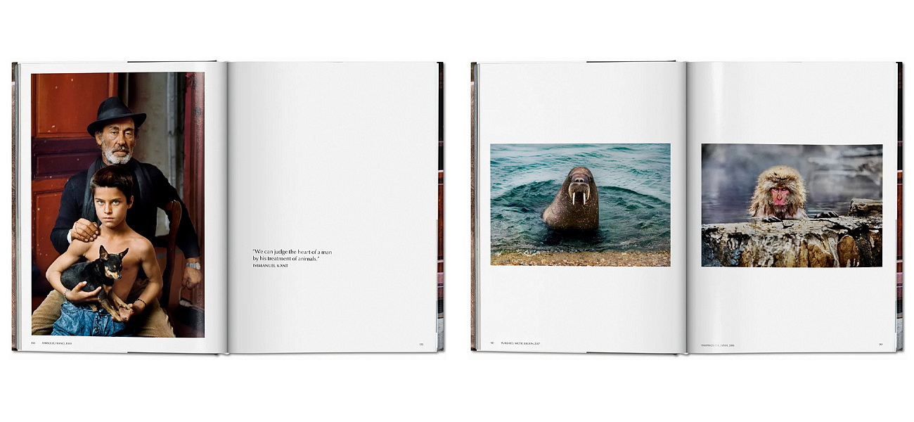 Steve McCurry. Animals Steve McCurry. Animals - Loft-Concept в Кирове