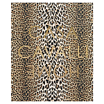 Редкое коллекционное издание Casa Cavalli Home: Celebrating the Roberto Cavalli Lifestyle Леопард варинант исполнения - 1 | Loft Concept в Кирове