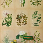 Обои ручная роспись Botanical Studies Linnaeus colourway варинант исполнения - 3 | Loft Concept в Кирове