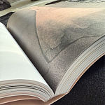 Лимитированное издание Иллюстрации модного дома Book: Dior par Mats Gustafson Vol. II Maria Grazia Chiuri варинант исполнения - 3 | Loft Concept в Кирове