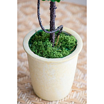 Декоративный искусственное растение Single boxwood варинант исполнения - 6 | Loft Concept в Кирове