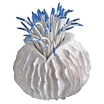 Статуэтка тропический фрукт Tropical Fruit White Blue варинант исполнения - 2 | Loft Concept в Кирове