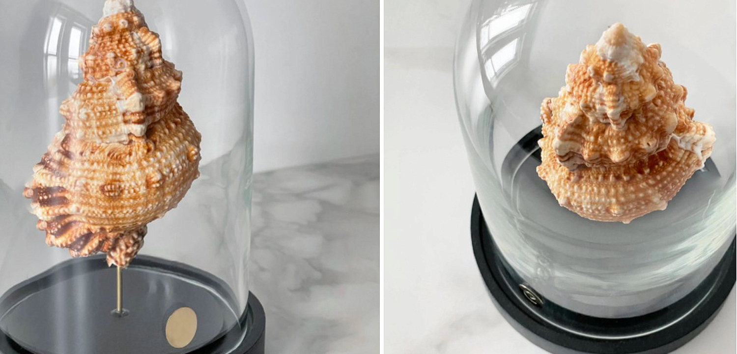 Статуэтка Bursa Rubeta Glass Cloche Статуэтка Bursa Rubeta Glass Cloche - Loft-Concept в Кирове