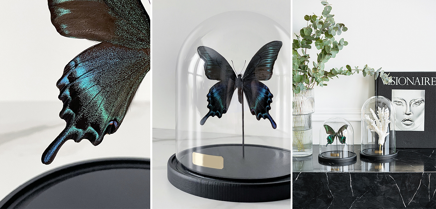 Статуэтка Butterfly Sailboat Maaka Glass Cloche Статуэтка Butterfly Sailboat Maaka Glass Cloche - Loft-Concept в Кирове