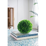 Декоративный искусственное растение Round boxwood варинант исполнения - 6 | Loft Concept в Кирове