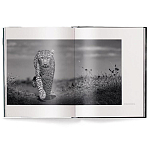 Книга Beusker. Look into my Eyes варинант исполнения - 1 | Loft Concept в Кирове