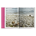 Книга Gisele Bundchen варинант исполнения - 9 | Loft Concept в Кирове