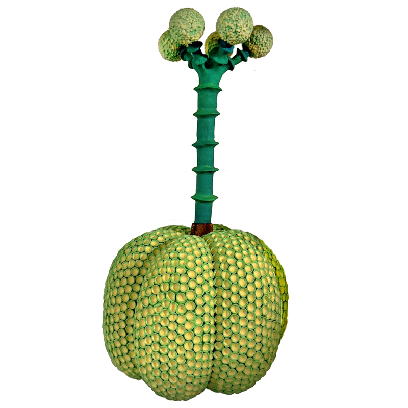 Статуэтка Зеленый тропический фрукт Pandora Tropical Light Green 69 Салатовый Мульти в Кирове | Loft Concept 