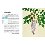 Прекрасно иллюстрированная книга более 100 ботанических произведений Plant Hunters Atlas варинант исполнения - 4 | Loft Concept в Кирове