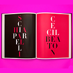 Коллекционный альбом Schiaparelli and the Artists варинант исполнения - 8 | Loft Concept в Кирове