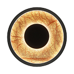 Бра круглое Gold Sun Lighting  варинант исполнения - 1 | Loft Concept в Кирове