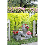 Кашпо The self-confident swan варинант исполнения - 8 | Loft Concept в Кирове