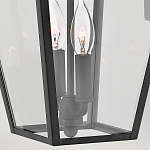 Настенный фонарь черного цвета с прозрачным стеклянным плафоном трапециевидной формы Hinkley варинант исполнения - 4 | Loft Concept в Кирове