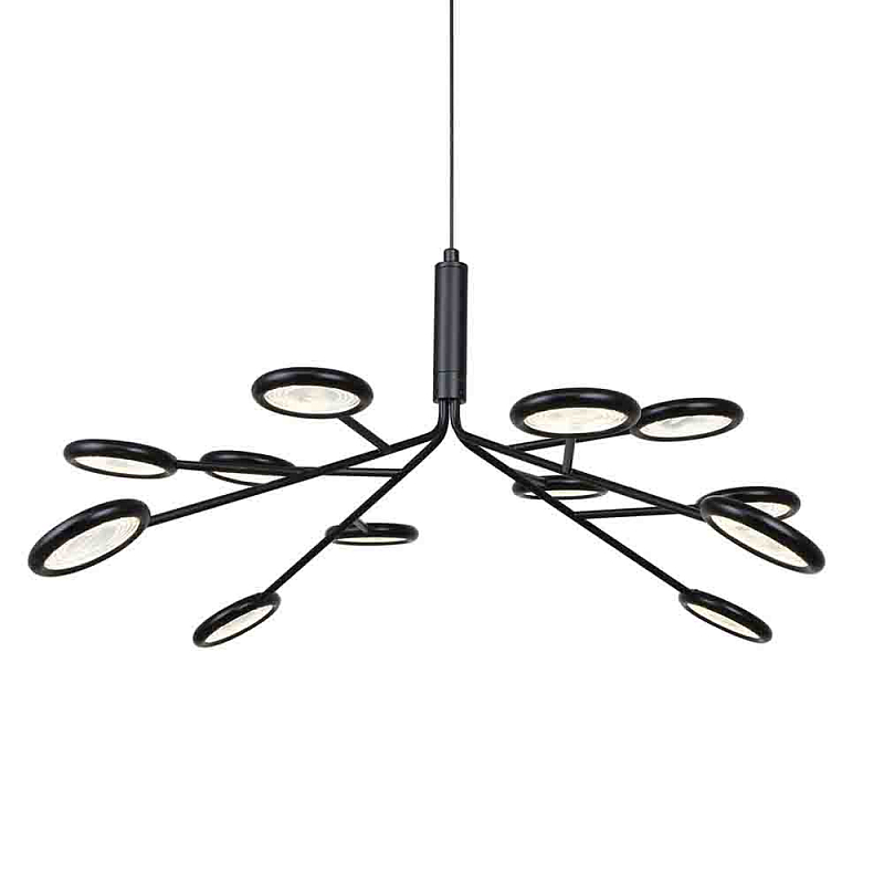 Люстра черного цвета с 12-ю круглыми плафонами Bendik Lighting Прозрачный Черный Люстра черного цвета с 12-ю круглыми плафонами Bendik Lighting Прозрачный Черный в Кирове | Loft Concept